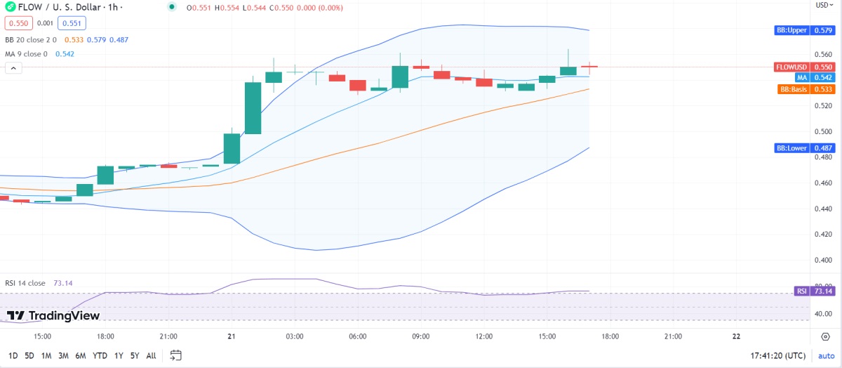 1 saatlik Flow Coin fiyat analizi
