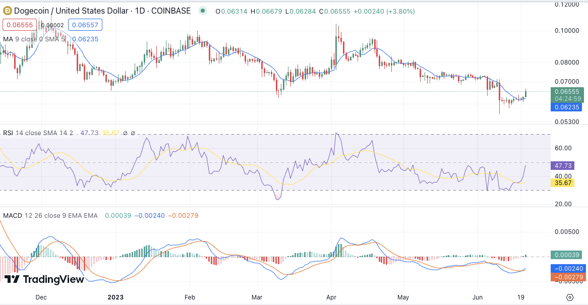 Dogecoin Fiyat Tahmini - Dogecoin Fiyat Analizi 24 saatlik grafik