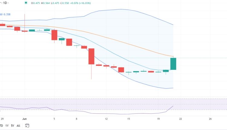 Flow Coin 1 günlük fiyat analizi